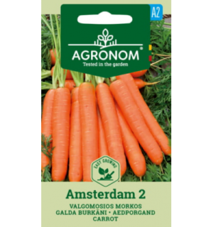 porgand-amsterdam-2