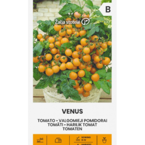 Tomat Venus