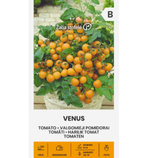 Tomat Venus