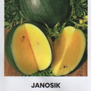 Arbuus Janosik