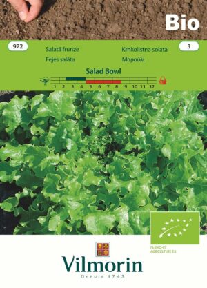 Salat Bowl BIO*