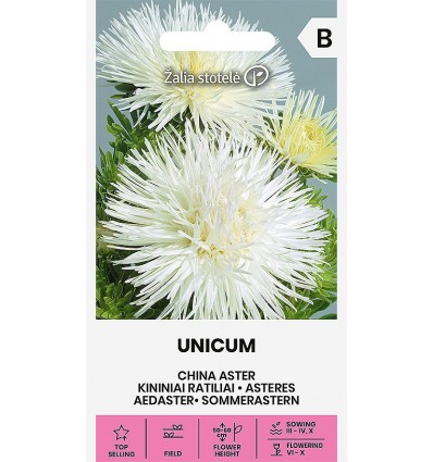 Hiina aedaster Unicum valge