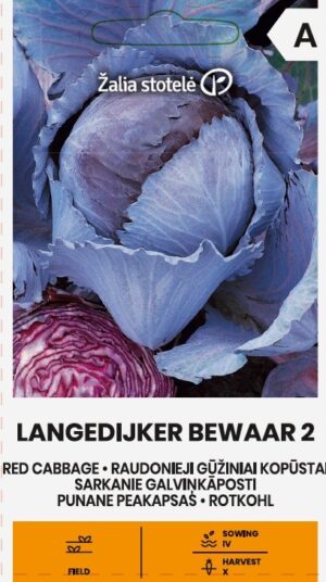 Punane peakapsas Langedijkker Bewaar 2