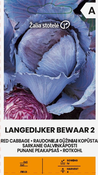 Punane peakapsas Langedijkker Bewaar 2