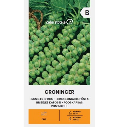 Rooskapsas (brüsseli) Groninger