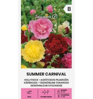 Tokkroos Summer Carnival