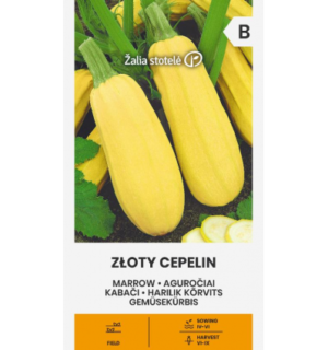 Suvikõrvits Zloty Cepelin