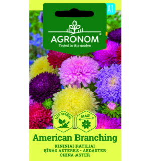 Hiina aedaster American Branching, segu