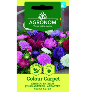 Hiina aedaster Colour Carpet segu*6