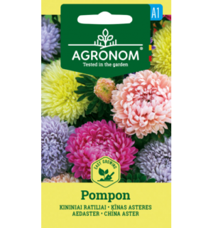Aedaster-Hiina aster Pompon segu