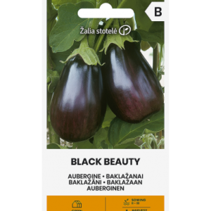 Baklazaan Black Beauty