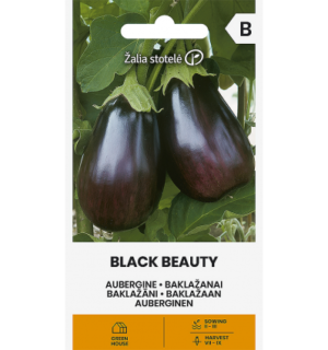 Baklazaan Black Beauty