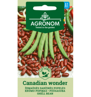 Uba Canadian Wonder*