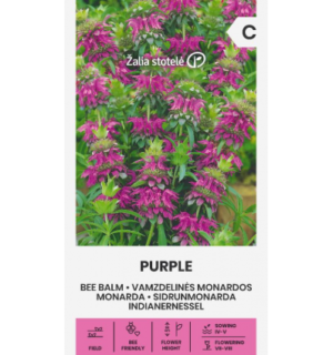 sidrun-monarda-purple