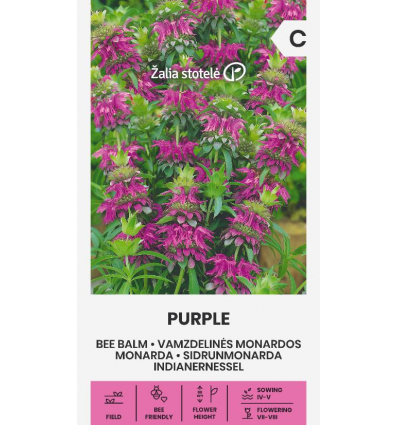 sidrun-monarda-purple