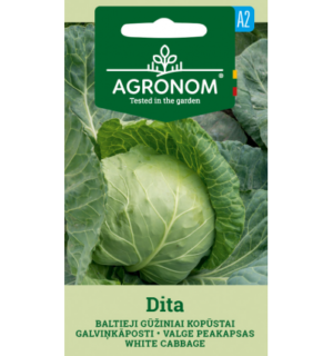 Valge peakapsas Dita*6