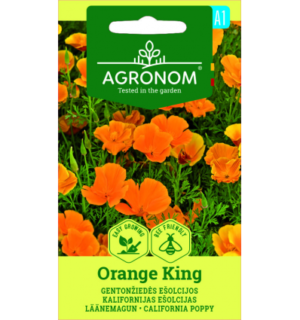 Läänemagun(moon) Orange King*6