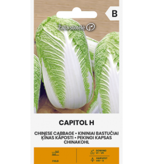 Hiina kapsas Capitol H