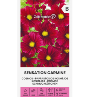 Kosmos Sensation Carmine