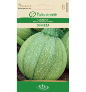 Suvikõrvits Di Nizza