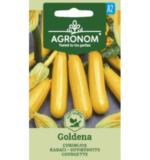 Suvikõrvits Goldena