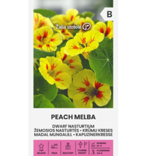 Madal mungalill Peach Melba