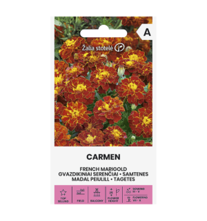 Madal peiulill tagetes Carmen