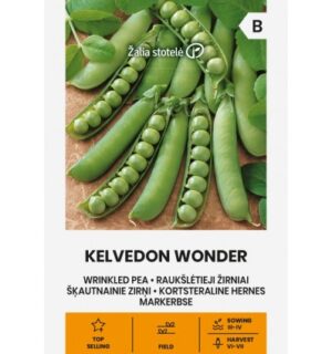 hernes-kelvedon-wonder