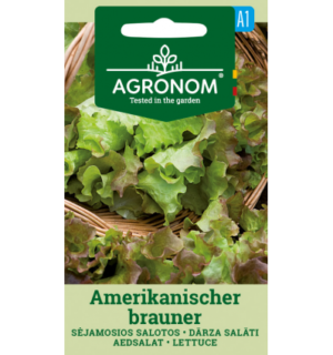 Salat Amerikanischer brauner Ah5