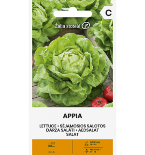 salat appia