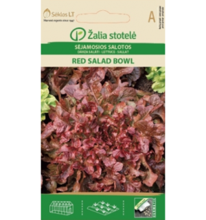 Salat Red Salad Bowl*6