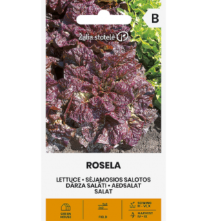 Salat Rosela