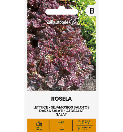 Salat Rosela