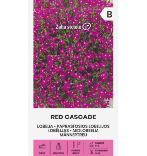 Aedlobeelia Red Cascade