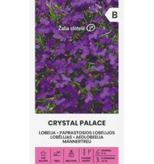 Aedlobeelia Crystal Palace
