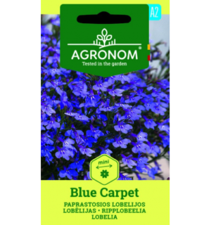 Ripplobeelia Blue Carpet
