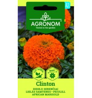 Peiulill (tagetes) Clinton