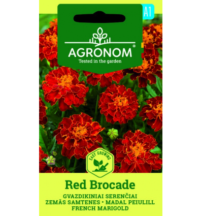 Peiulill (tagetes) Red Brocade