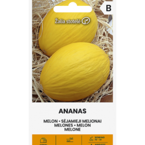 Melon Ananas*