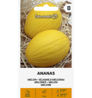 Melon Ananas*