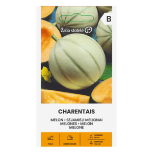 Melon Charentais