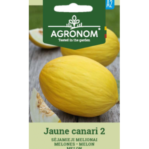 Melon Jaune canari 2