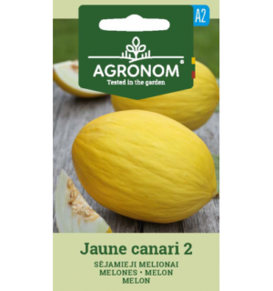 Melon Jaune canari 2
