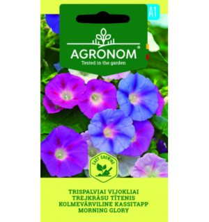 Kolmevärviline kassitapp Morning Glory