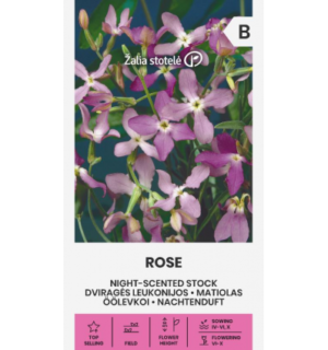 Öölevkoi Rose*7