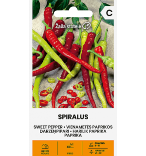 Pipar Spiralus*7