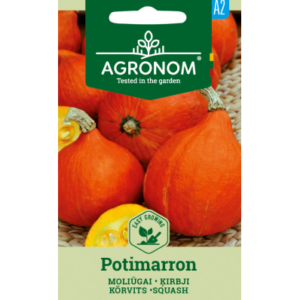 Kõrvits Potimarron (hokkaido)