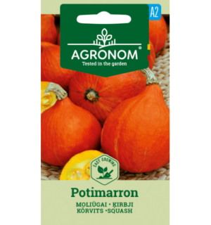 Kõrvits Potimarron (hokkaido)