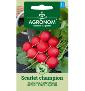 Redis Scarlet Champion*6