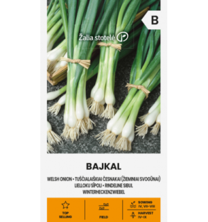 sibul-bajkal